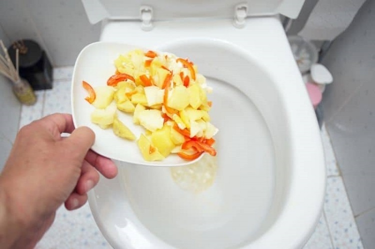Food Waste Flushing Down The Toilet