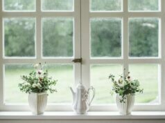 Choosing the Right Boarding Up Window Services for Your Broken Window Window Services
