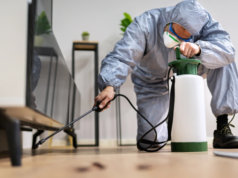 Types of Pest Control Services for Longview Homes Pest Control