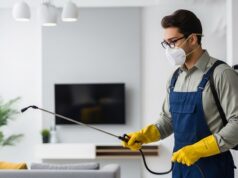 Denton Pest Infestations: Local Factors, Habits, and Prevention Tips pest control